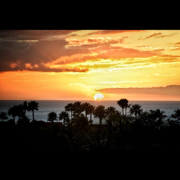 Meet your Posher, Nicole - Picture 4 of 4